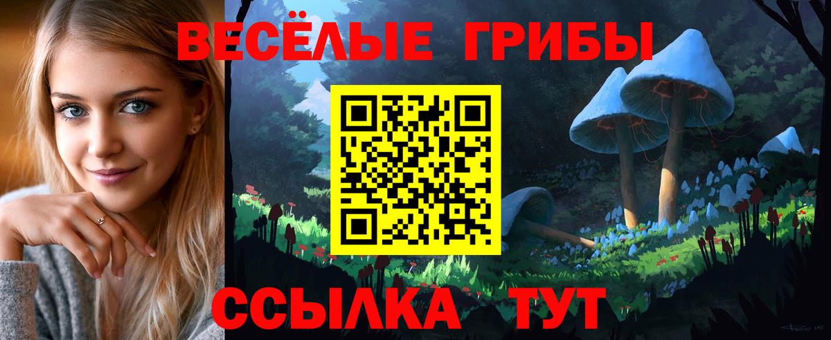 Псилоцибиновые грибы прущие грибы  Вход с VPN  Зеленогорск 